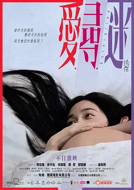 爱寻迷 (2014)