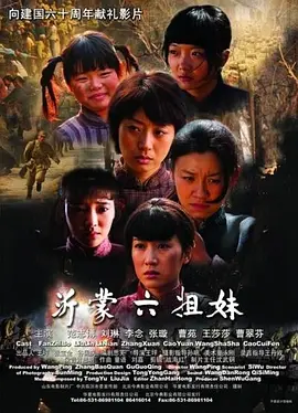 沂蒙六姐妹 (2009)